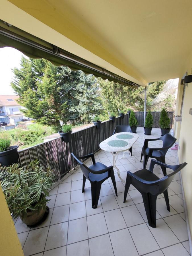 Ferienwohnung Anna Oftersheim Schwetzingen Hockenheim 3 Zimmer Mit Balkon Экстерьер фото